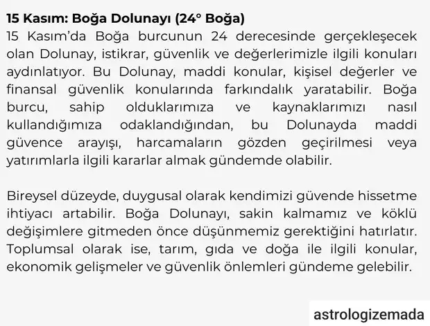 boğ dol.webp