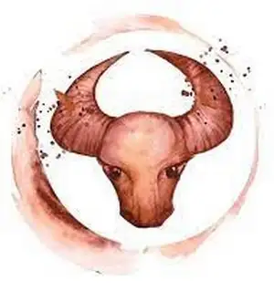 boğa (17).webp