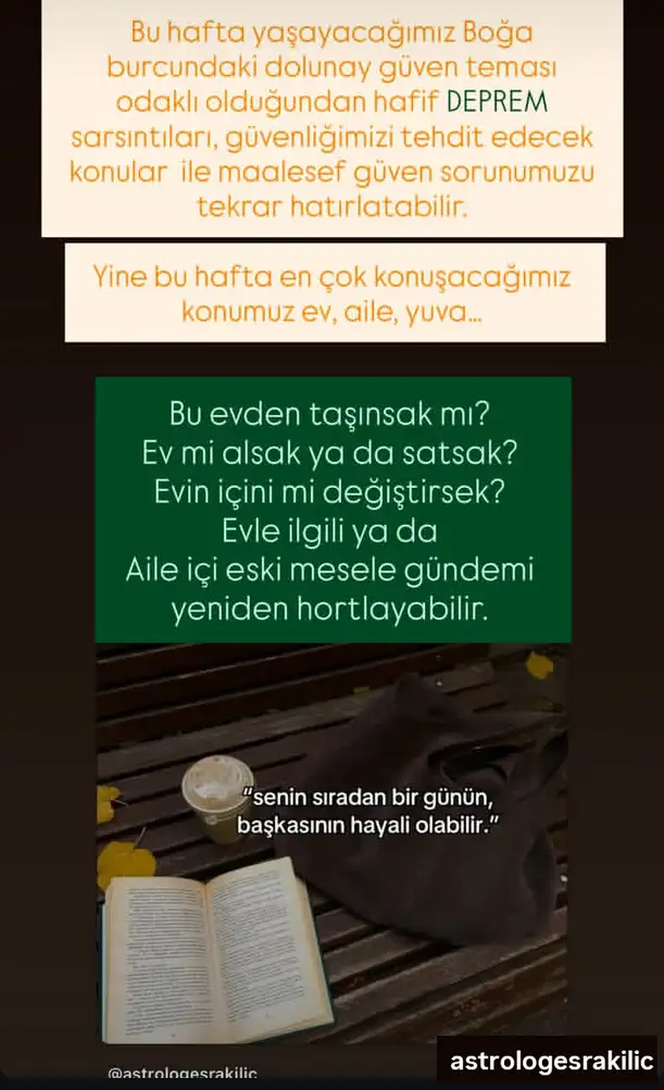 boğa (2).webp