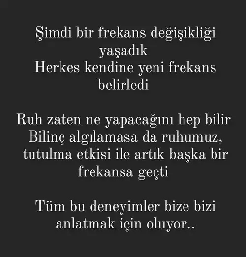 boğa son (3).webp
