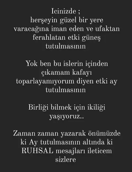 boğa son (5).webp
