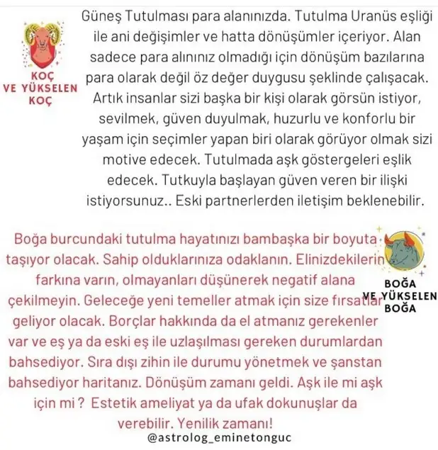 boğa0 (2).webp