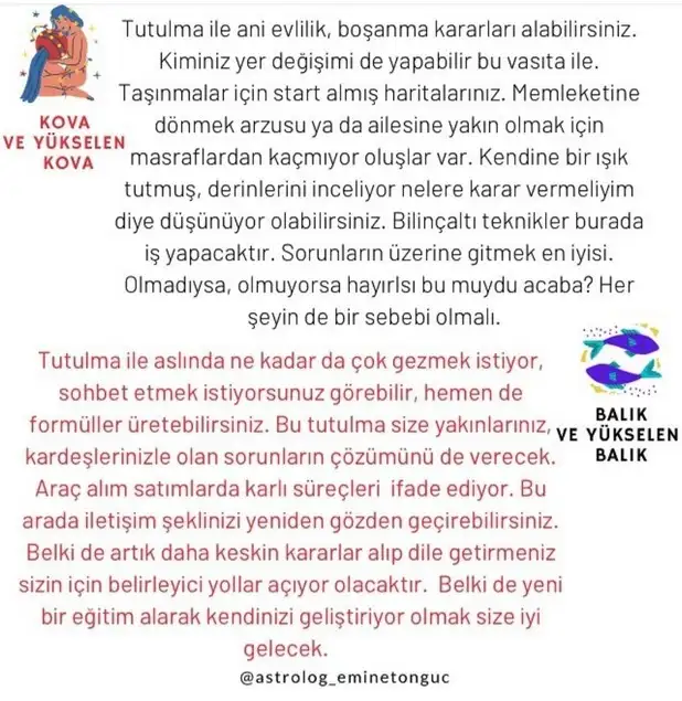 boğa0 (7).webp