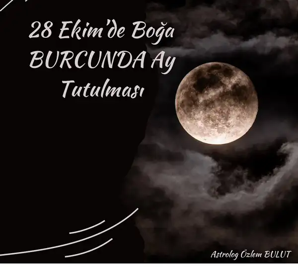 boğa1 (0).webp
