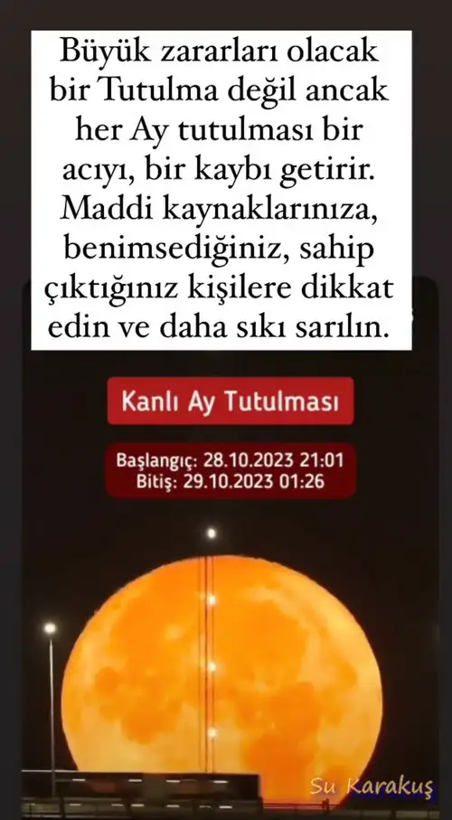 boğa1 (1).webp