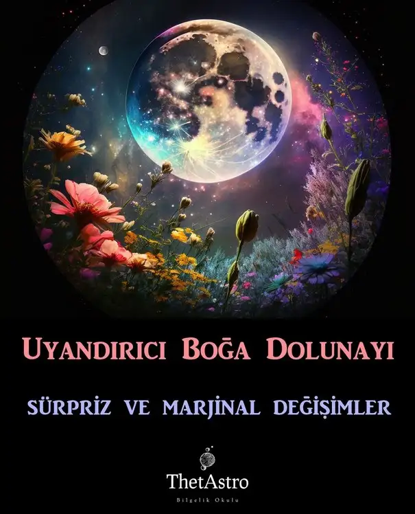 boğa1 (1).webp