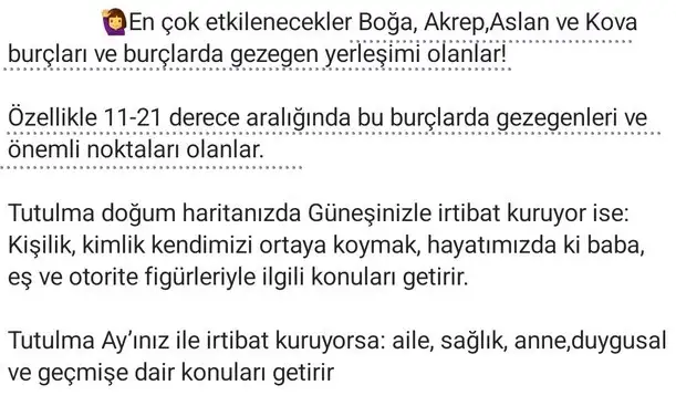 boğa1 (2) - Kopya.webp