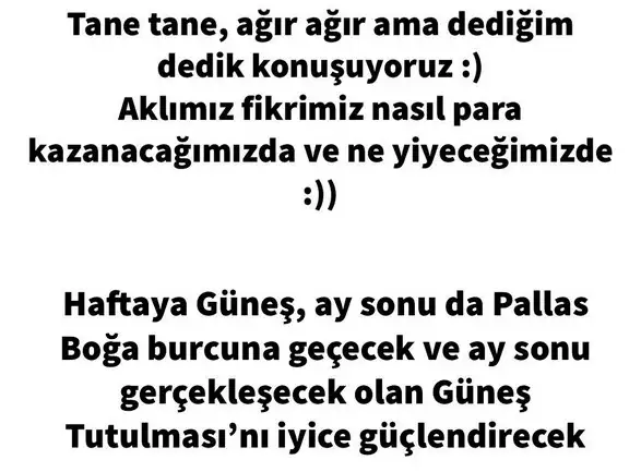 boğa1 (2).webp