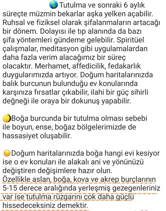 boğa1 (2).webp