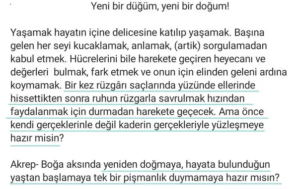 boğa1 (2).webp