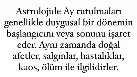 boğa1 (2).webp
