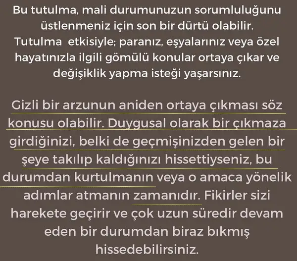 boğa1 (2).webp