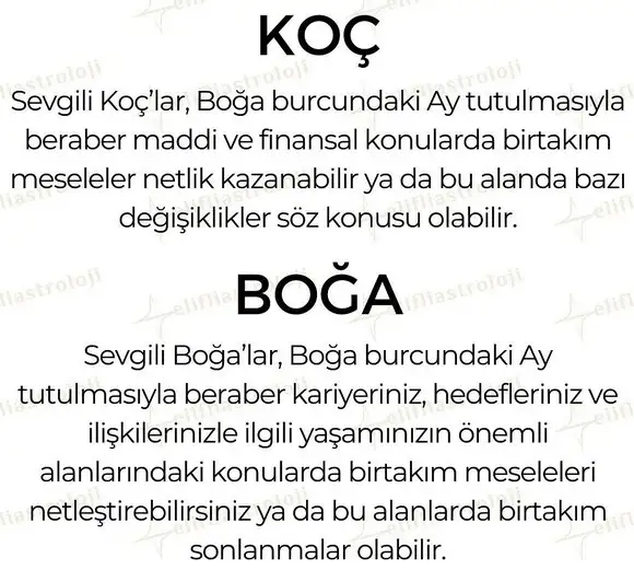 boğa1 (2).webp