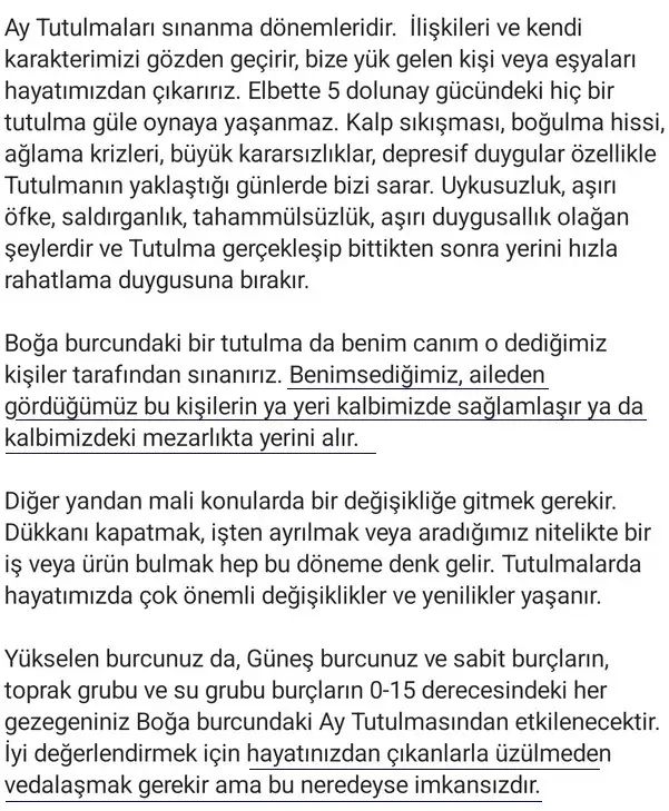 boğa1 (2).webp