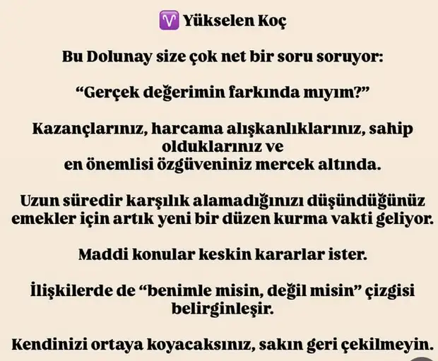 boğa1 (2).webp