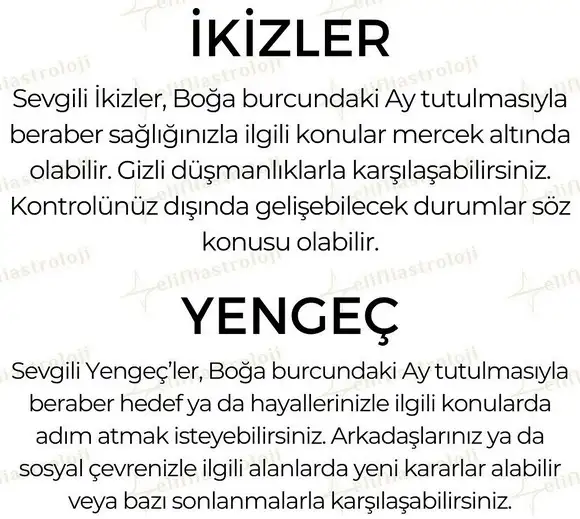 boğa1 (3).webp