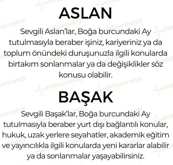boğa1 (4).webp