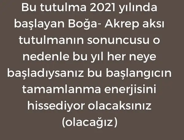 boğa1 (7).webp