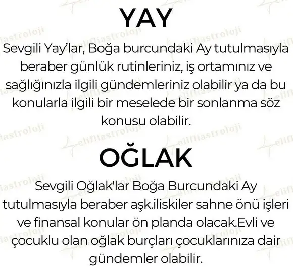 boğa1 (7).webp