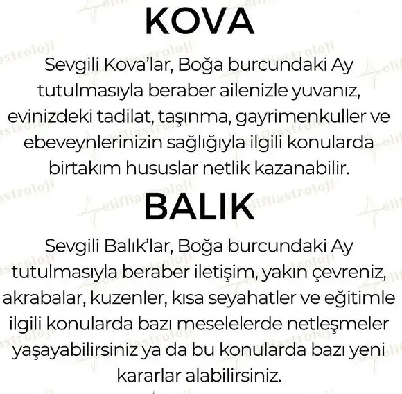 boğa1 (8).webp