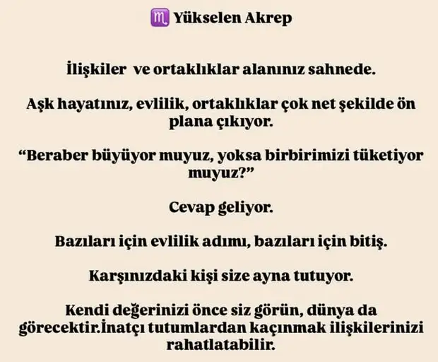 boğa1 (9).webp