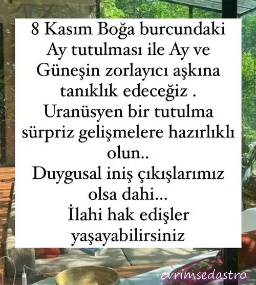 boğa1.webp