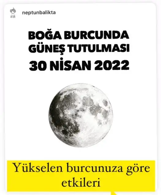 boğa10 (1).webp