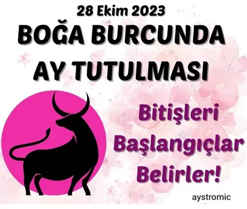 boğa10 (1).webp
