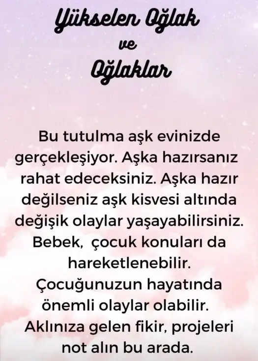 boğa10 (11).webp
