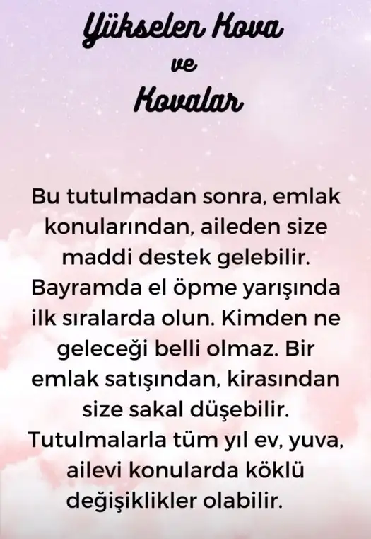 boğa10 (12).webp