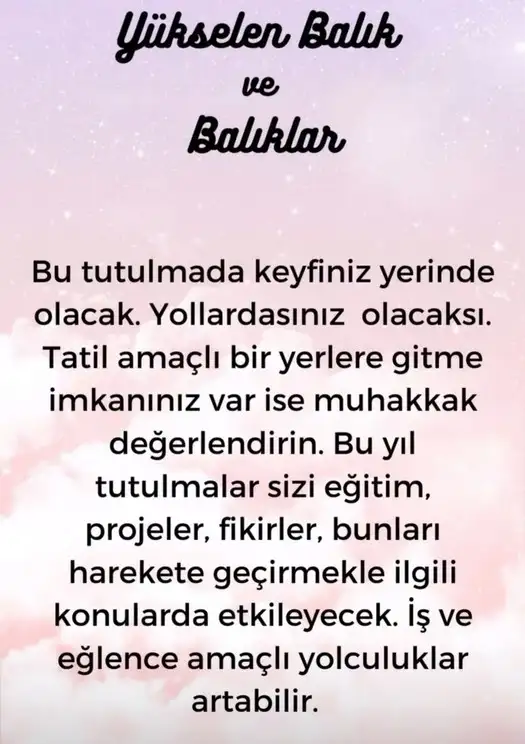 boğa10 (13).webp