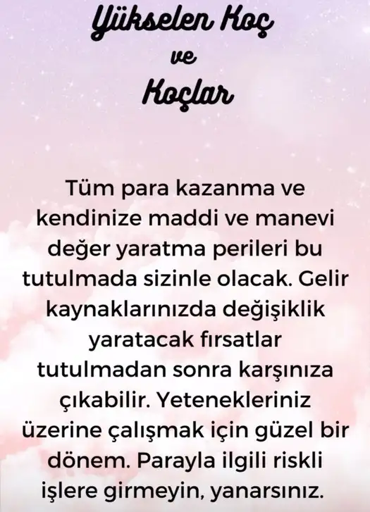 boğa10 (2).webp
