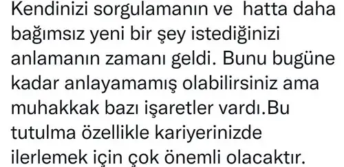 boğa10 (3).webp