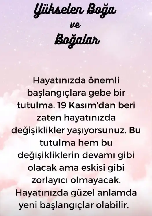 boğa10 (3).webp