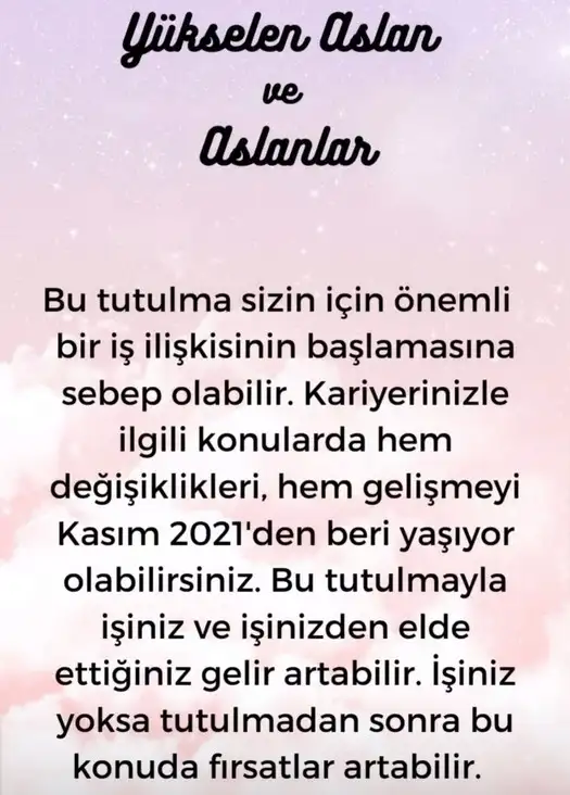 boğa10 (6).webp