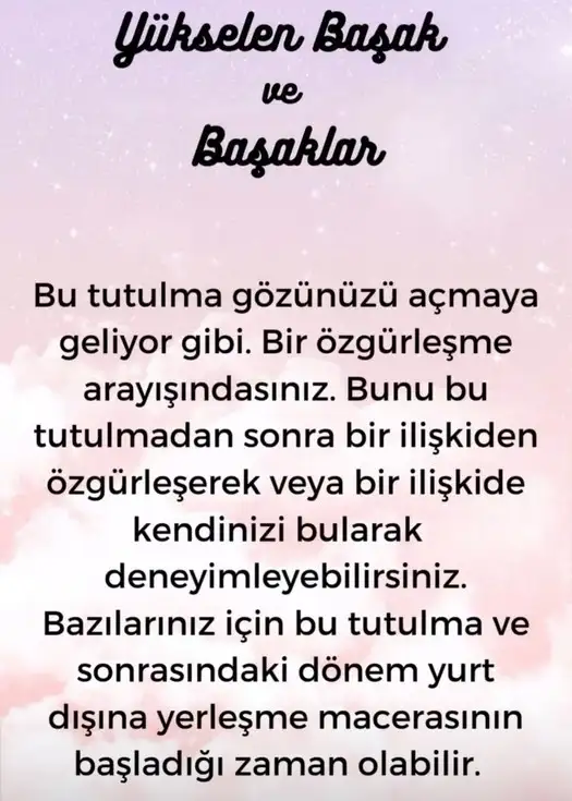 boğa10 (7).webp