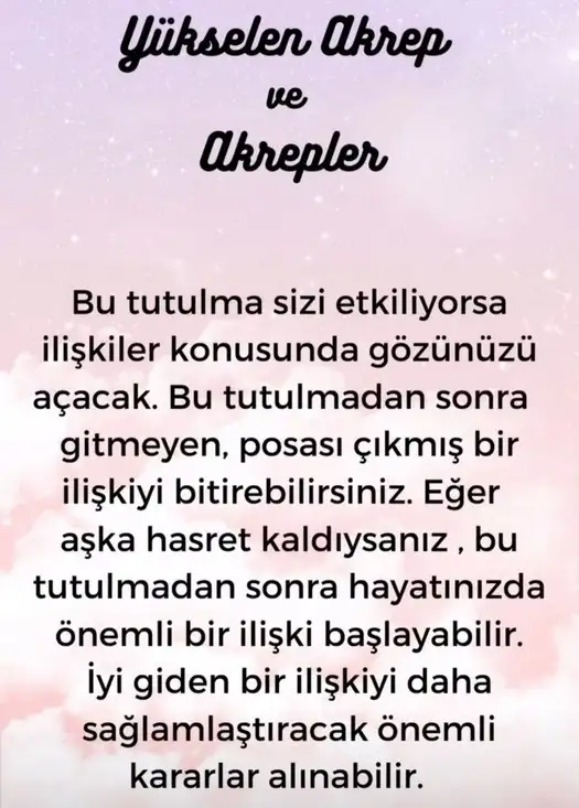 boğa10 (9).webp