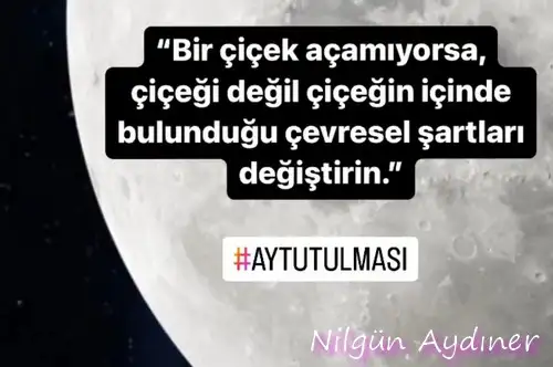 boğa10.webp