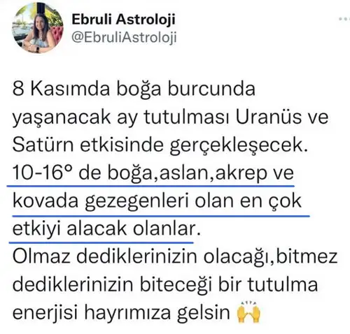 boğa10.webp