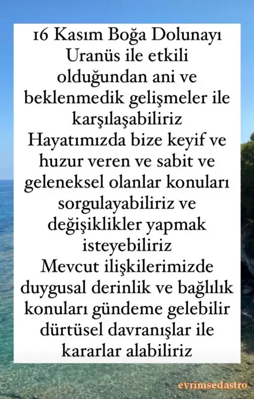 boğa10.webp
