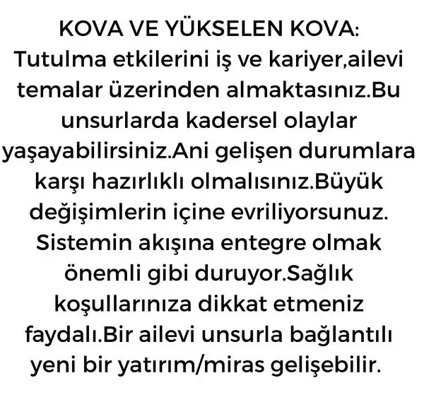 boğa11 (12).webp