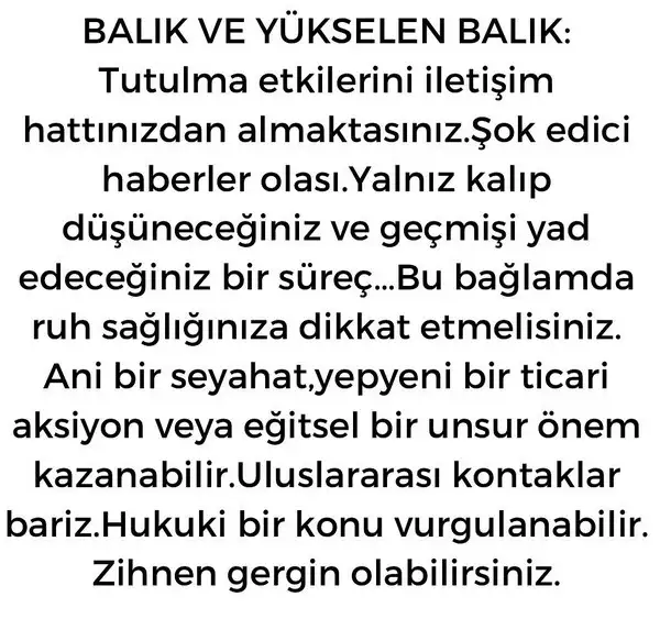boğa11 (13).webp