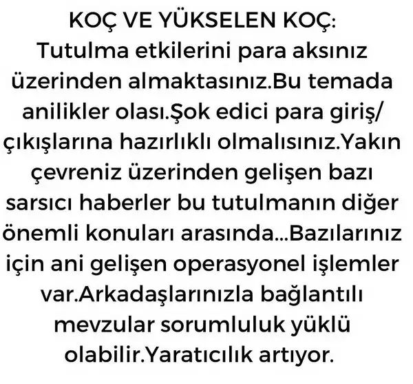 boğa11 (2).webp
