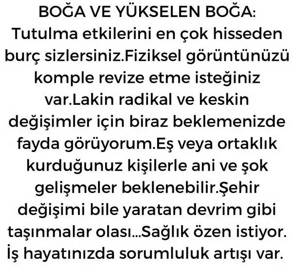 boğa11 (3).webp