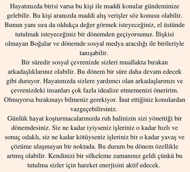 boğa11 (4).webp