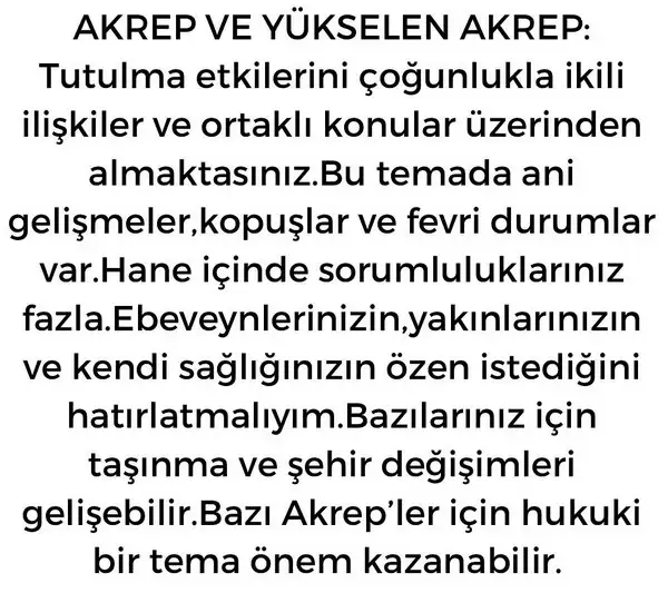 boğa11 (9).webp