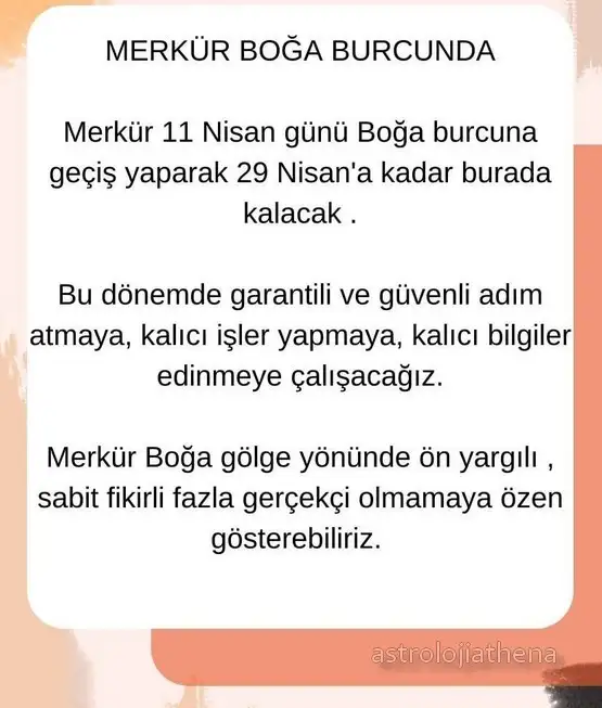 boğa11.webp