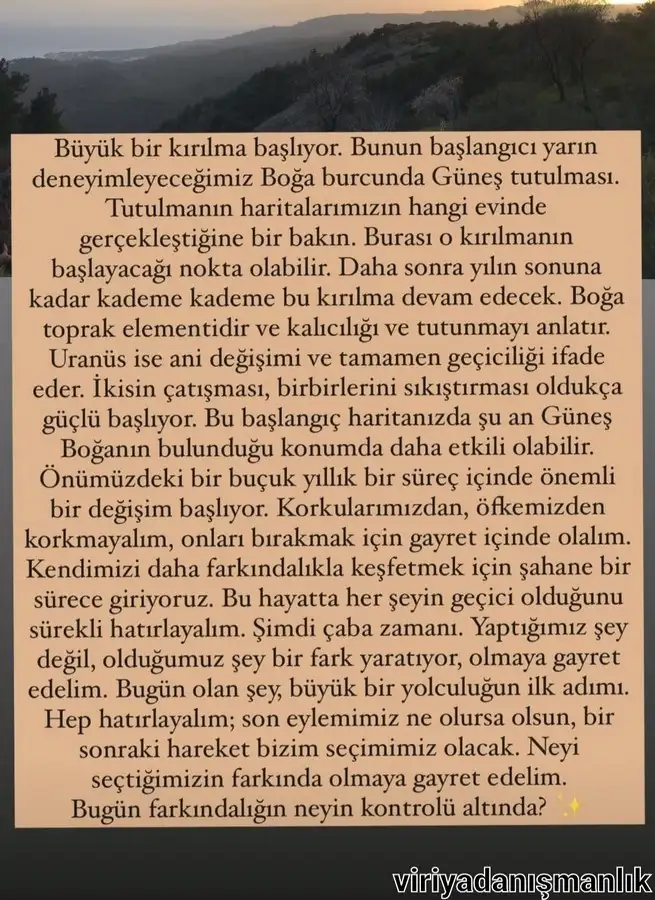 boğa11.webp