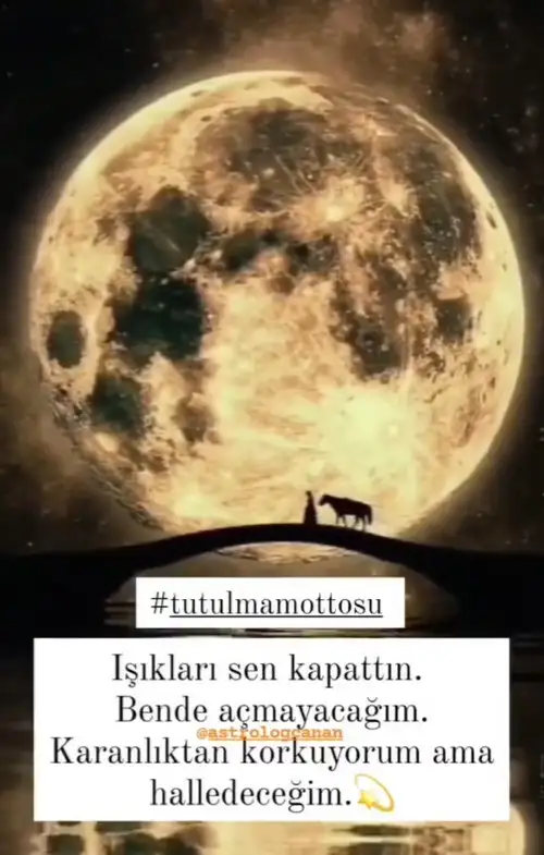 boğa11.webp
