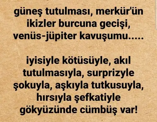 boğa12 (1).webp